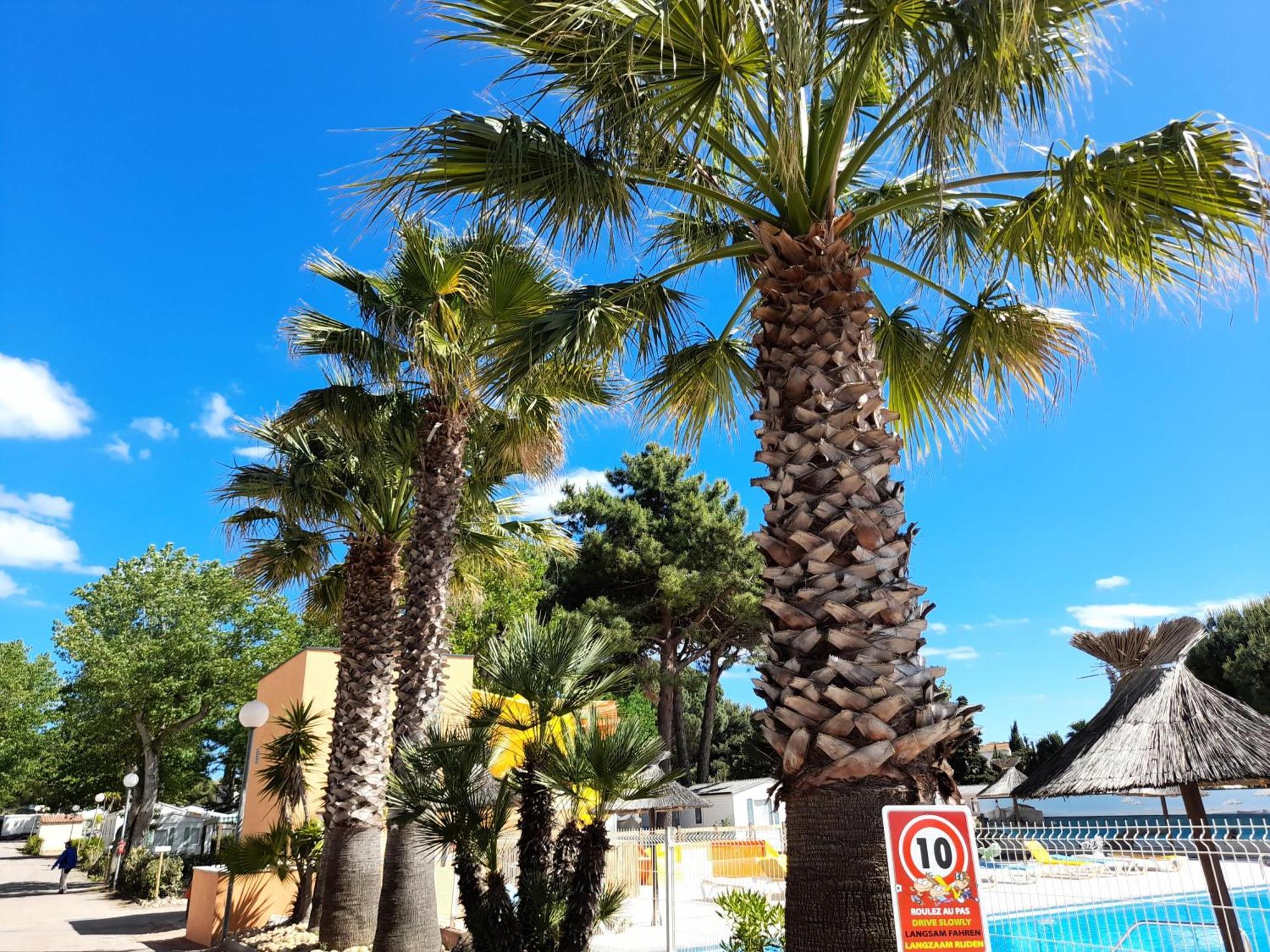 Camping Les Jardins D'Agathe - Maeva Le Grau-dʼAgde Exteriör bild